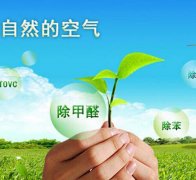 除甲醛對于住房安全和環(huán)境保護的作用有什么？