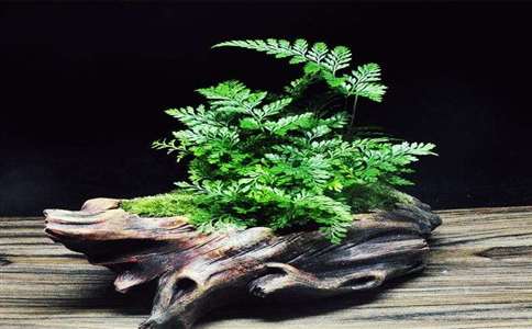 1521423236519450.jpg 1631de76-e94d-455e-9573-e7f598a4aff9.jpg