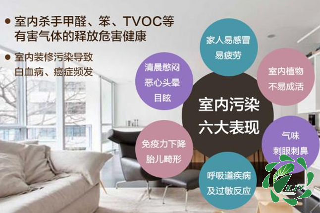 甲醛真可怕，貼壁紙竟然也會導致甲醛中毒